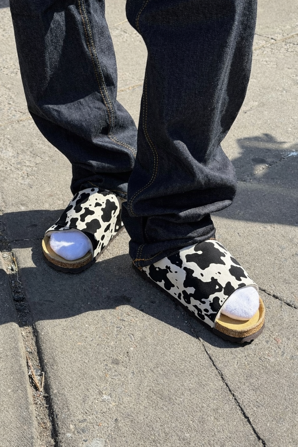 cow slides - coming in july